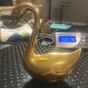 Large Swan